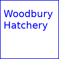 $100 Gift Certificate